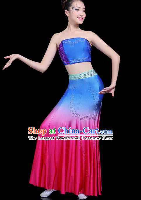 Chinese Traditional Peacock Dance Dress Dai Minority Folk Dance National Costume for Women