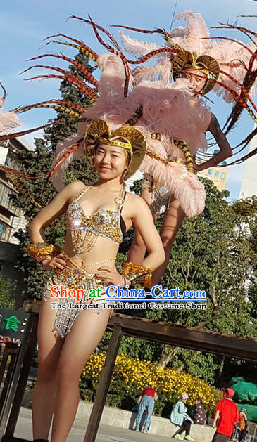 Brazilian Carnival Parade Catwalks Stage Show Samba Costumes and Feather Headwear for Women