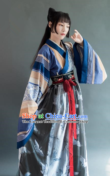 Chinese Traditional Jin Dynasty Historical Costumes Ancient Aristocratic Lady Hanfu Dress for Women