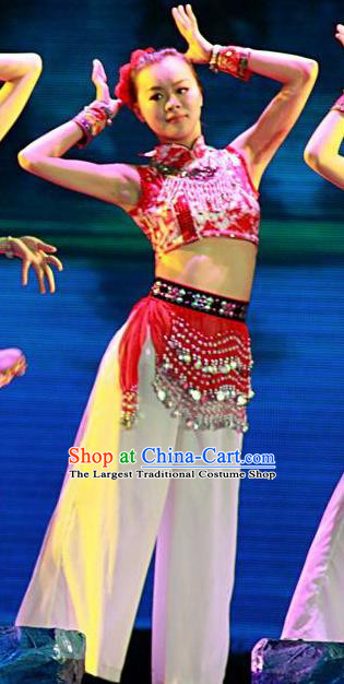 Chinese Charm Xiangxi Tujia Nationality Folk Dance Dress Stage Performance Costume and Headpiece for Women