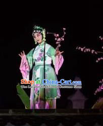 Chinese The Dream Of The Peony Pavilion Opera Maidservant Dance Green Dress Stage Performance Costume and Headpiece for Women