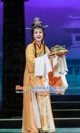 Chinese Shaoxing Opera Bronze Swallow Terrace Zhen Luo Dress Stage Performance Dance Costume and Headpiece for Women