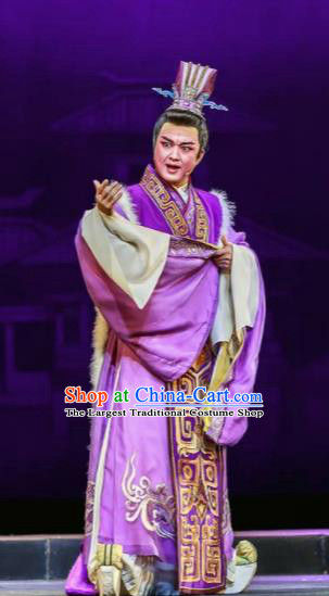 Chinese Shaoxing Opera Bronze Swallow Terrace Emperor Cao Pi Clothing Stage Performance Dance Costume for Men