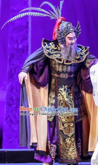 Chinese Shaoxing Opera Bronze Swallow Terrace General Clothing Stage Performance Dance Costume for Men