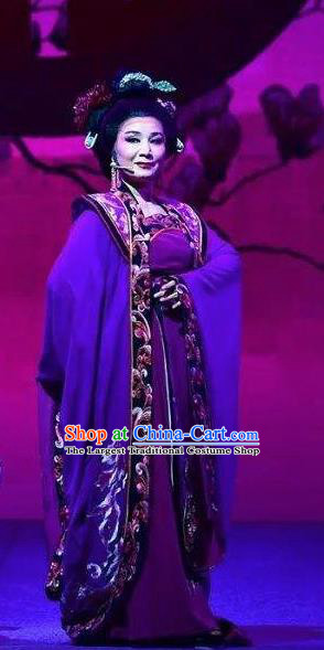 Amber Fate Chinese Beijing Opera Queen Purple Dress Stage Performance Dance Costume and Headpiece for Women