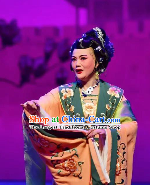 Amber Fate Chinese Beijing Opera Queen Mother Dress Stage Performance Dance Costume and Headpiece for Women