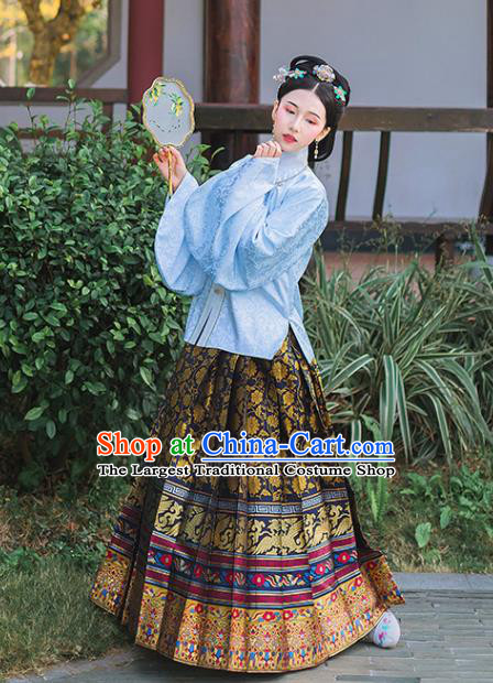 Chinese Ancient Ming Dynasty Princess Embroidered Historical Costume Blue Blouse and Black Horse Face Skirt Complete Set