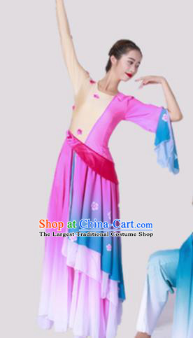 Chinese Traditional Classical Dance Costume Umbrella Dance Rosy Dress for Women