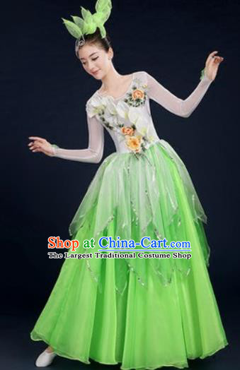 Chinese Traditional Opening Dance Green Dress Spring Festival Gala Stage Performance Costume for Women