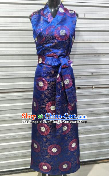 Traditional Chinese National Tibetan Ethnic Royalblue Dress Zang Nationality Folk Dance Costume for Women