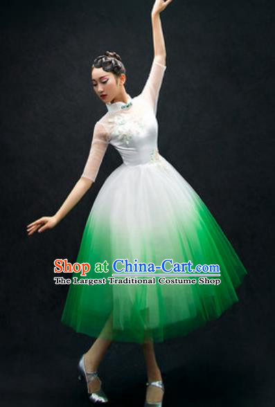 Chinese Classical Dance Costume Traditional Modern Dance Green Veil Dress for Women