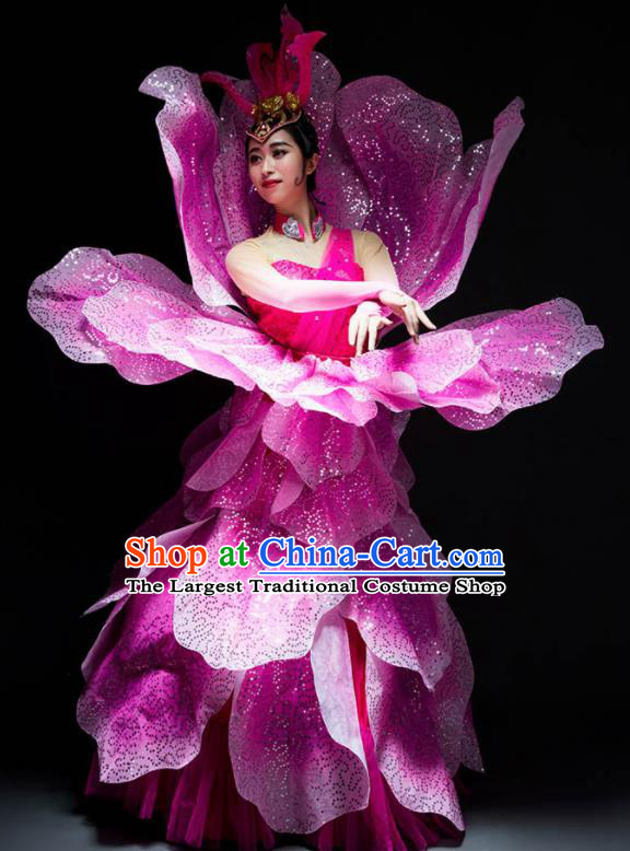 Chinese Modern Dance Peony Dance Stage Costume Traditional Spring Festival Gala Opening Dance Rosy Dress for Women