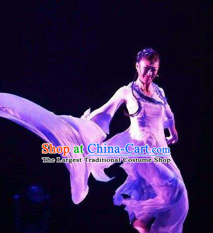 Traditional Chinese Classical Dance Ballet Ru Yan Costume Stage Show Beautiful Dance Dress for Women