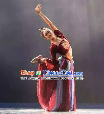 Chinese Beautiful Dance Wen Yue Costume Traditional Fan Dance Classical Dance Competition Dress for Women