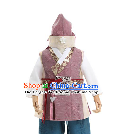 Asian Korea Boys Embroidered Cameo Brown Vest and Pants Korean Children Birthday Fashion Traditional Apparels Kids Hanbok Costumes