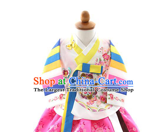 Asian Korea Girls Embroidered Blouse and Pink Dress Korean Kids Fashion Traditional Apparels Hanbok Birthday Costumes