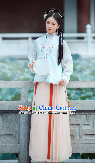 Chinese Ancient Noble Lady Embroidered Dress Traditional Ming Dynasty Nobility Costumes for Women