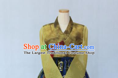 Korean Traditional Garment Ginger Blouse and Royalblue Dress Bride Hanbok Asian Korea Fashion Costume for Women