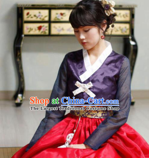 Korean Traditional Court Hanbok Garment Purple Blouse and Red Dress Asian Korea Fashion Costume for Women