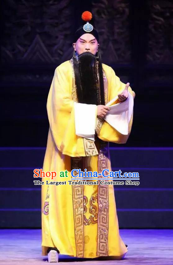 Chinese Cantonese Opera Laosheng Garment Princess Chang Ping Costumes Old Men Apparels and Headwear