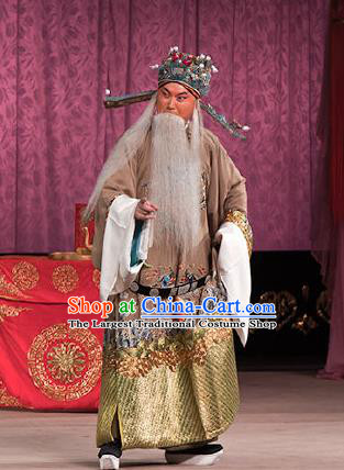 Chinese Beijing Opera Elderly Men Garment Peking Opera Judge Bao and the Qin Xianglian Case Apparels Chancellor Han Qi Costumes and Headwear