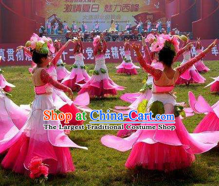 Chinese Lotus Dance Pink Dress Traditional Classical Dance Stage Performance Costume for Women