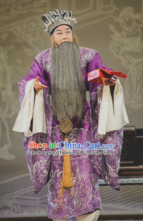 Chinese Classical Kun Opera Elderly Male Garment and Hat The Purple Hairpin Peking Opera Lao Sheng Costumes Chancellor Purple Apparels