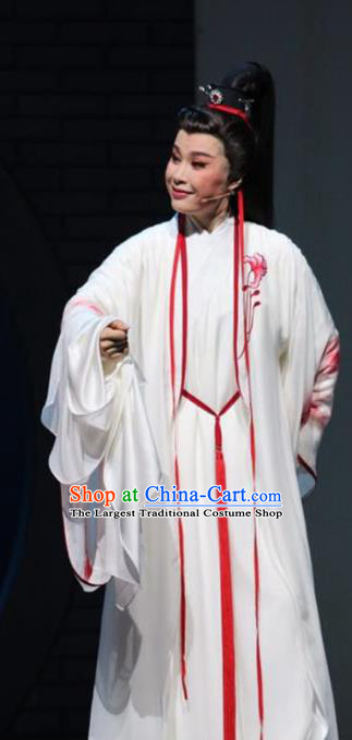 Chinese Yue Opera Scholar Wu Yi Lane Wang Huizhi White Costumes and Headwear Shaoxing Opera Xiaosheng Young Male Garment Apparels