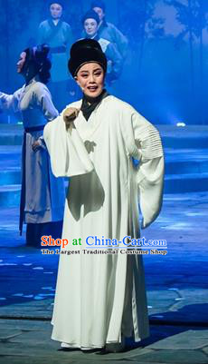 Chinese Yue Opera Physician Chen Shigong Apparels and Headwear Ren Heart Medicine Shaoxing Opera Xiaosheng Garment Scholar Costumes