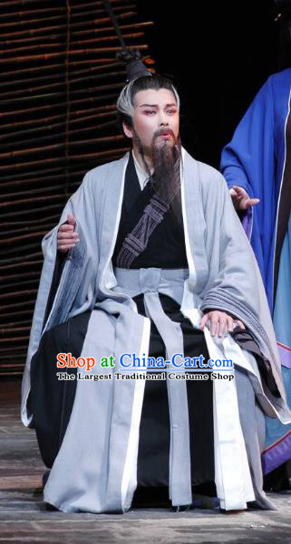 The Orphan of Zhao Chinese Yue Opera Minister Cheng Ying Garment Costumes and Headwear Shaoxing Opera Elderly Male Apparels