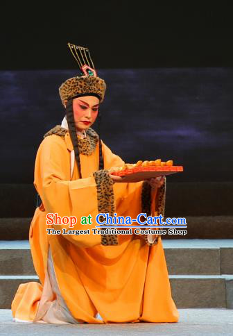 Chinese Yue Opera Eunuch Qing Jian Fan Ying Apparels and Headwear Shaoxing Opera Male Role Costumes Garment