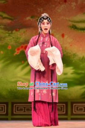 Chinese Kun Opera Female Role Rosy Dress Apparels Costumes and Headdress Bai Luo Shan Kunqu Opera Madame Su Garment