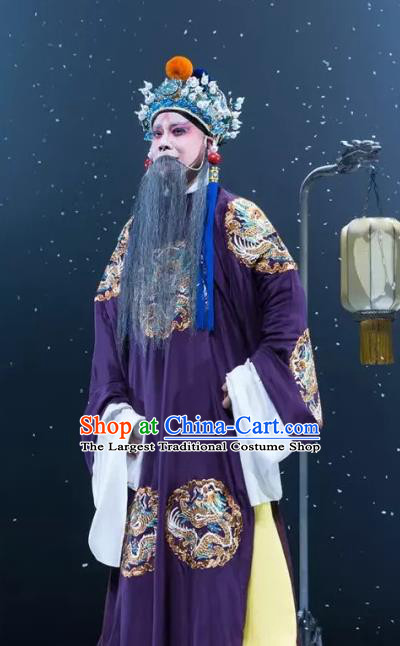 Rain on the Phoenix Tree Chinese Kun Opera Emperor Garment Costumes and Headwear Kunqu Opera Laosheng Apparels Informal Clothing