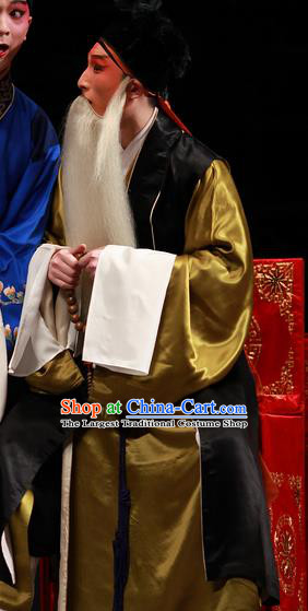 Xiu Ru Ji Chinese Kun Opera Laosheng Costumes and Headwear Kunqu Opera Elderly Male Garment Old Man Apparels