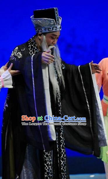 Chuan Deng Chinese Huangmei Opera Elderly Male Apparels Costumes Kunqu Opera Old Landlord Garment Clothing and Headwear