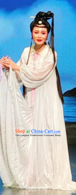 Chinese Huangmei Opera Young Female Daughter of Dragon Garment Costumes and Headpieces Traditional Anhui Opera Princess White Dress Apparels