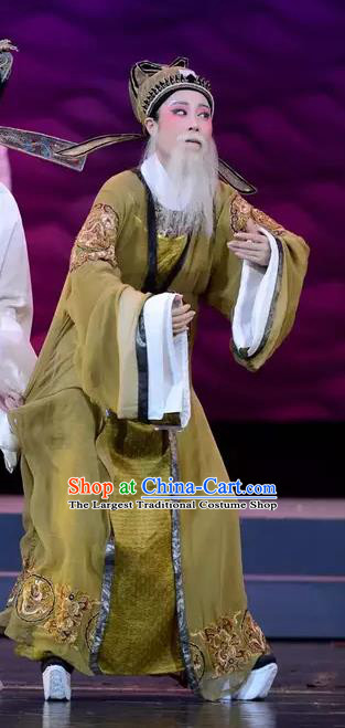 Chinese Yue Opera Elderly Male Apparels The Story of Hairpin Garment Shaoxing Opera Official Costumes and Hat