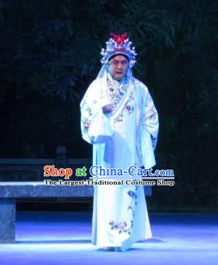 Xie Yaohuan Chinese Ping Opera Man Role Costumes and Headwear Pingju Opera Wu Hong Apparels Clothing