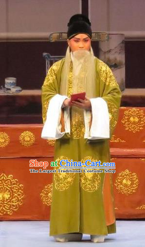 Peach Blossom Temple Chinese Ping Opera Laosheng Costumes and Headwear Pingju Opera Elderly Male Apparels Old Man Clothing