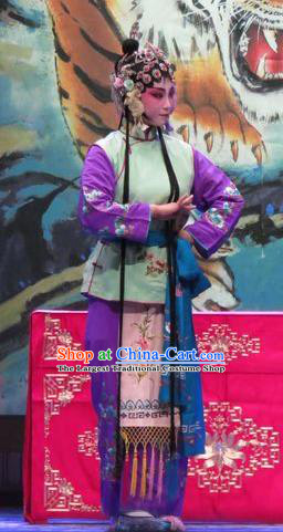 Chinese Ping Opera Costumes Apparels and Headpieces Yang Bajie You Chun Traditional Pingju Opera Young Lady Dress Garment