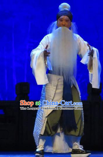 Chinese Yue Opera Old Servant Tell On Sargam Costumes and Headwear Shaoxing Opera Laosheng Garment Elderly Male Zhang Zhong Apparels Clothing