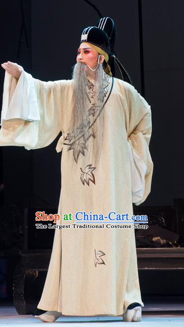 Chinese Yue Opera Elderly Male White Robe Garment and Headwear Shaoxing Opera Lao Sheng Costumes Apparels Poet Clothing