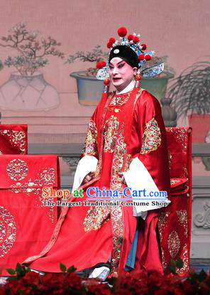 Tell On Sargam Chinese Peking Opera Young Male Garment Costumes and Headwear Beijing Opera Scholar Apparels Bridegroom Chen Guangzu Clothing