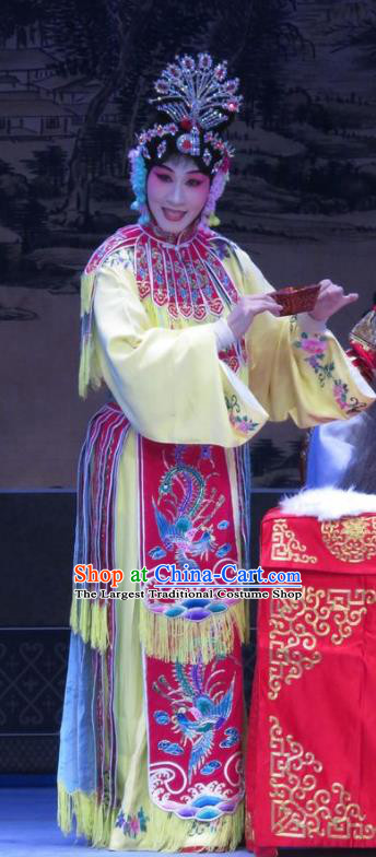 Chinese Ping Opera Hua Tan Actress Apparels Costumes and Headpieces Traditional Pingju Opera Lv Bu And Diao Chan Young Beauty Dress Garment