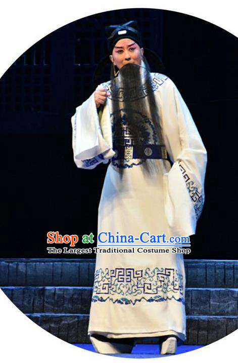 Qing Tian Dao Chinese Peking Opera Laosheng Garment Costumes and Headwear Beijing Opera Loyal Official Hai Rui Apparels Clothing