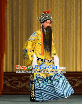 Xiao Yao Jin Chinese Peking Opera Xian Emperor Liu Xie Garment Costumes and Headwear Beijing Opera Elderly Male Apparels Clothing