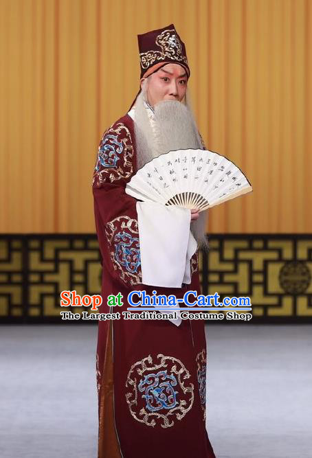 Wen Zhao Guan Chinese Peking Opera Laosheng Garment Costumes and Headwear Beijing Opera Old Man Wu Zixu Apparels Clothing