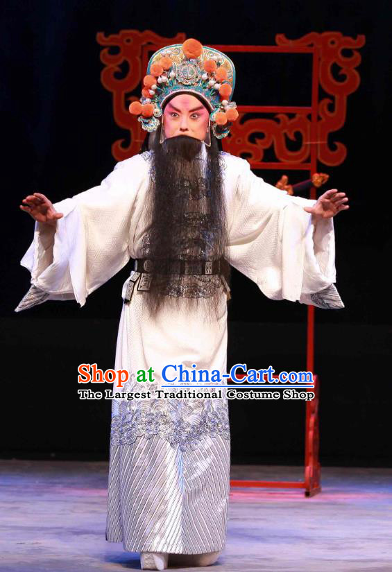 Feng Yu Xing Huang Qi Chinese Peking Opera Elderly Male Song Jiang Garment Costumes and Headwear Beijing Opera Laosheng Apparels Clothing