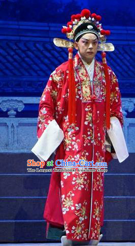 Princess Changping Chinese Peking Opera Bridegroom Garment Costumes and Headwear Beijing Opera Young Male Apparels Scholar Zhou Shixian Wedding Clothing