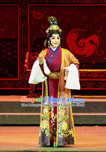 Chinese Beijing Opera Countess Apparels Anecdote of Jian An Costumes and Headdress Traditional Peking Opera Elderly Female Dress Dame Garment